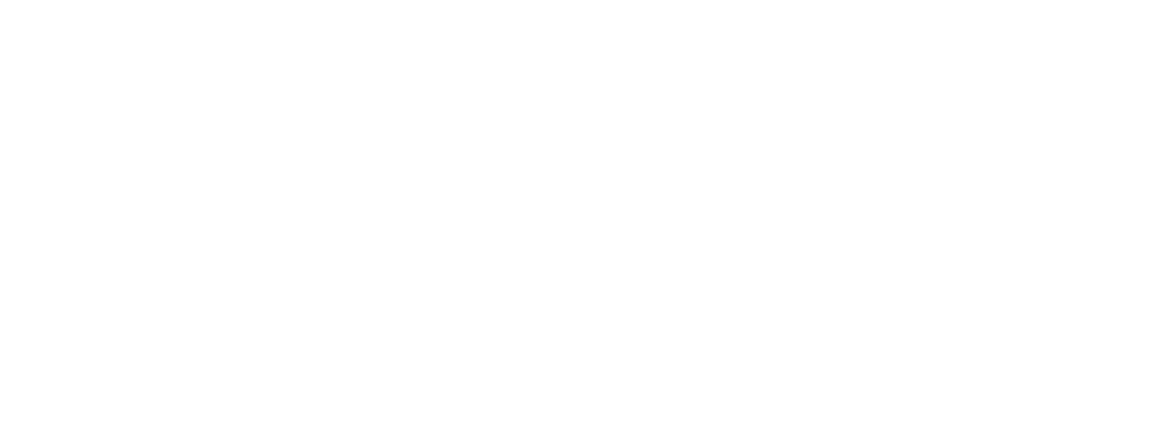 BRICK IFM